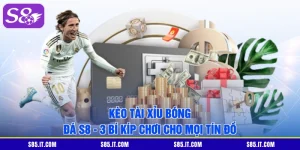 Kèo Tài Xỉu Bóng Đá S8 - 3 Bí Kíp Chơi Cho Mọi Tín Đồ